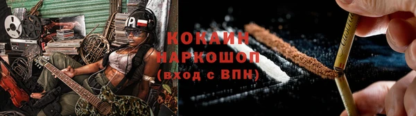дмт Новозыбков