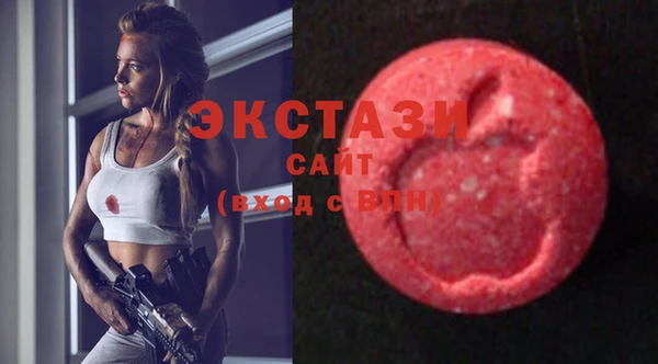 дмт Новозыбков
