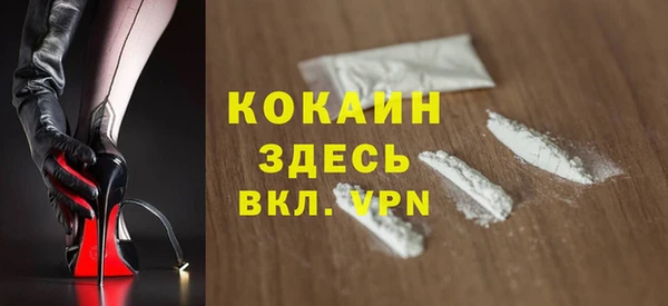 дмт Новозыбков