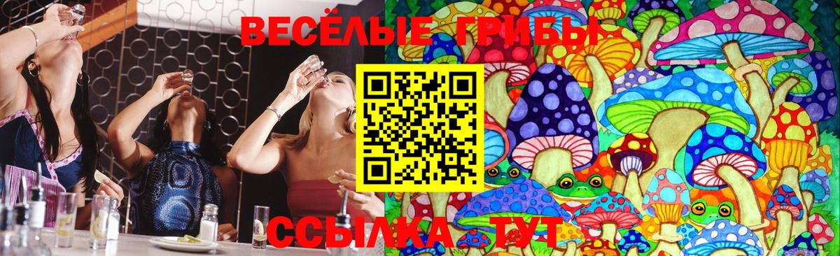 Большой Камень  Галлюциногенные грибы Psilocybe  Вход с VPN 