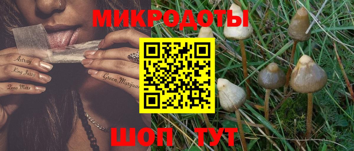 Галлюциногенные грибы мухоморы Большой Камень